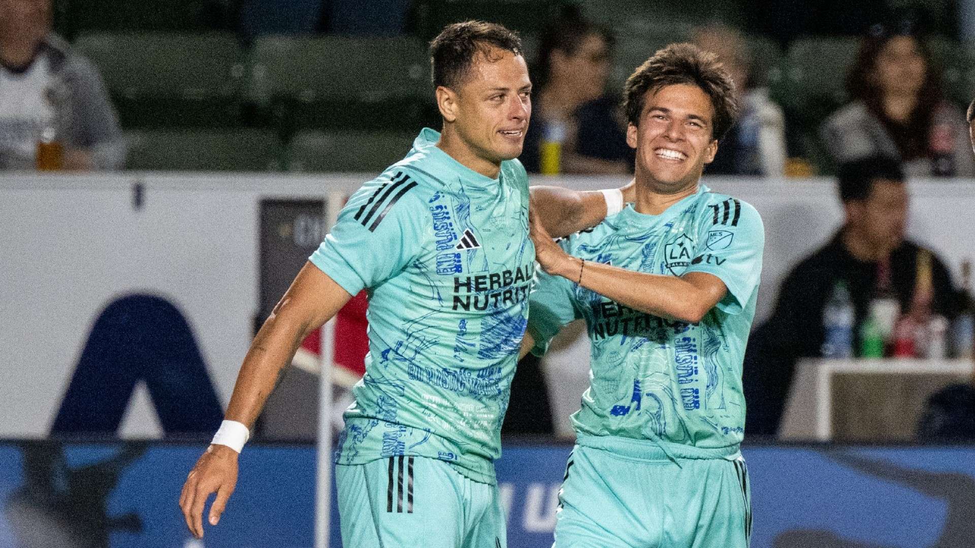 本文将带您 本文将带您